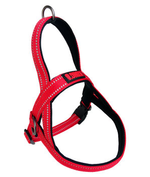 KONG Norwegian Harness Medium Red